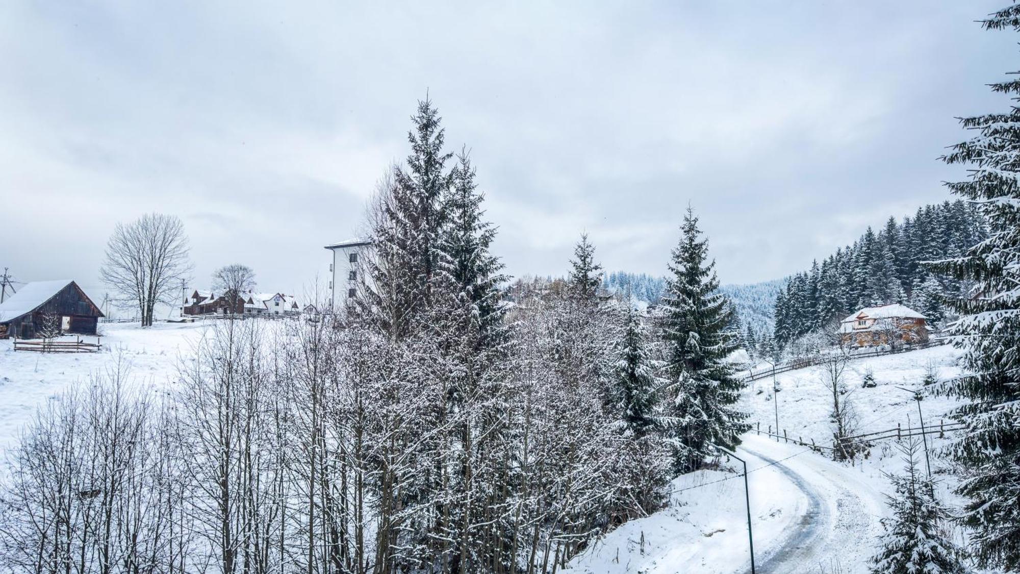 Lion Hotell Bukovel Rum bild