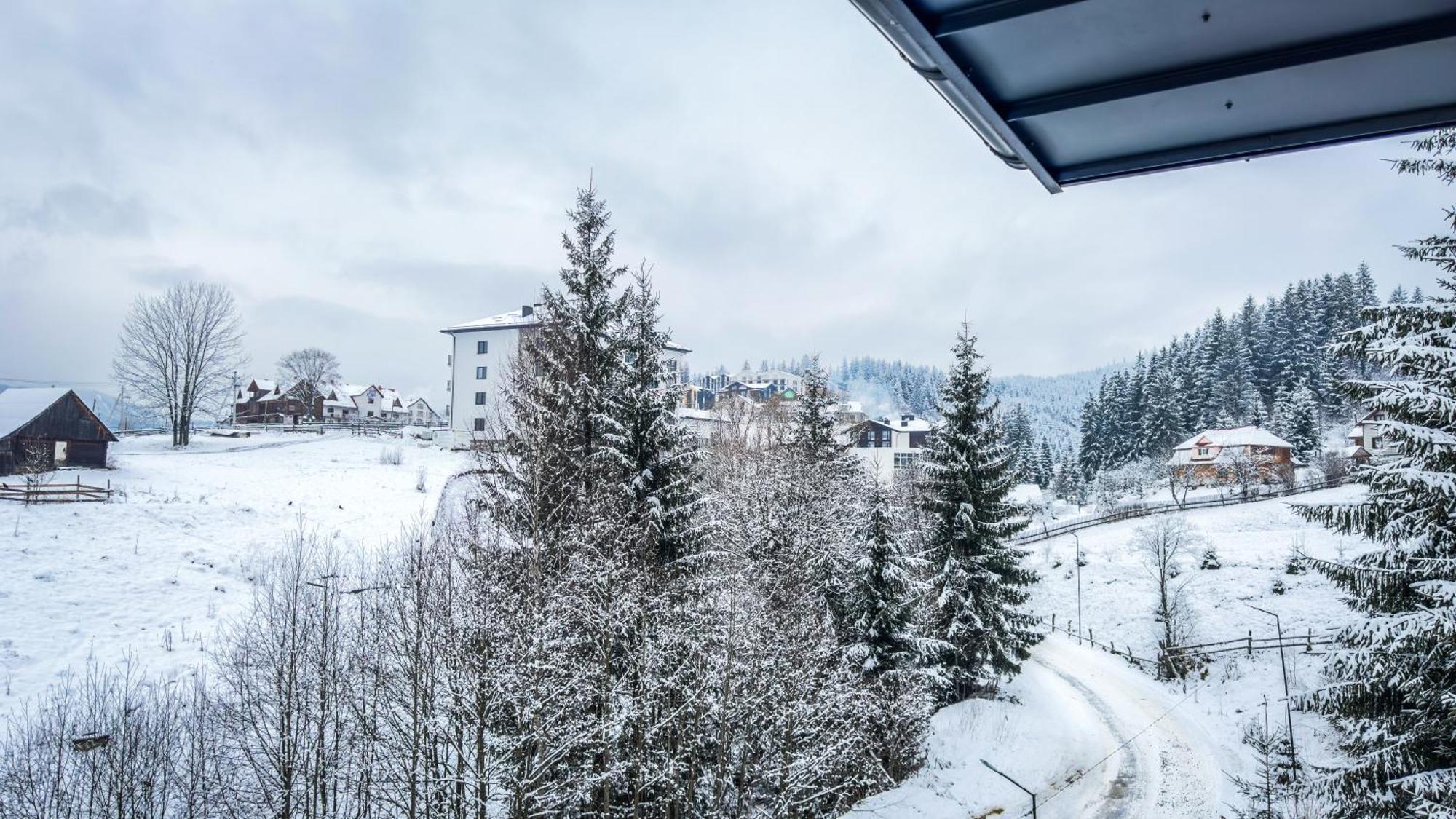 Lion Hotell Bukovel Rum bild